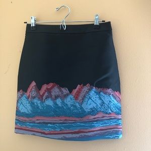 Alexander Wang skirt size 2